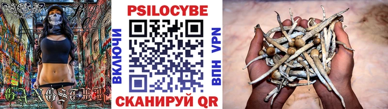 Купить закладки  Таганрог  Галлюциногенные грибы Cubensis 